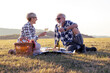 © pucko_ns - Charming senior couple enjoying a delightful picnic in the great outdoors. They are seen lounging comfortably on a checked blanket surrounded by a lush green landscape.