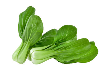 Wall Mural - Bok choy vegetable on transparent png