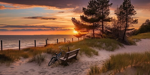 Wall Mural - sandy dunes on baltic beach,sunset on beach ,pine trees,sun reflection on se water ,wooden bench and