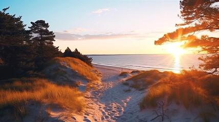 Wall Mural - sandy dunes on baltic beach,sunset on beach ,pine trees,sun reflection on se water ,wooden bench and