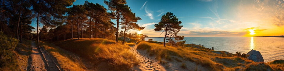Wall Mural - sandy dunes on baltic beach,sunset on beach ,pine trees,sun reflection on se water ,wooden bench and