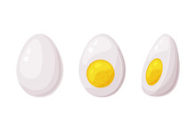 Boiled Egg Half With White And Yellow Yolk Vector Illustration