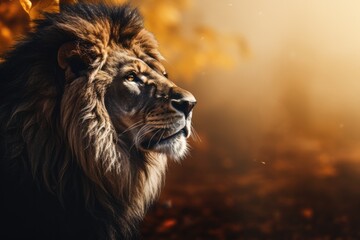 Wall Mural - Lion king animal of nature with  dark golden background.. Generative Ai.