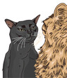 ilustración vectorial  de gatos, meme del gato negro disociado 