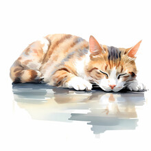 Sleeping Cat Water Colour Isolated On White