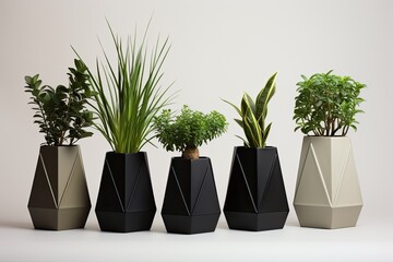 Wall Mural - Stylish geometric pots hold exquisite houseplants.