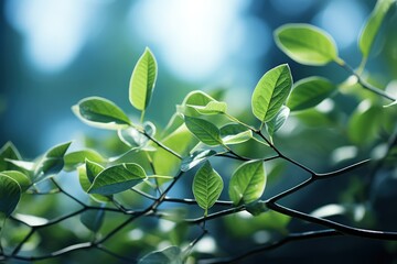 Wall Mural - Delicately natural fresh leaf background in soft daylight with beautiful bokeh and pastel green colors, close-up macro. Made with Generative AI