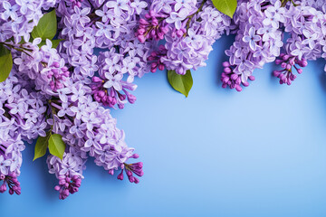 Wall Mural - Blooming lilac flowers on blue background