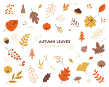 秋の葉のアイコンコレクション。フラットでカラフルなデザイン。ベクターイラスト。