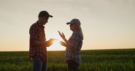 farmers work in the wheat field. use the tablet. new technologies in agriculture