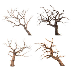 Poster - Dead trees, dry wood