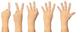 Hand showing one to five on transparent background cutout, PNG file. Mockup template for artwork design. Number sign gestures concept