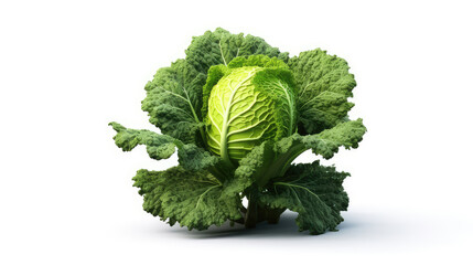 Wall Mural - savoy cabbage isolated on white background, generative ai