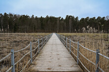 A Wooden Bridge Across The Swamp Leading Towards Forest