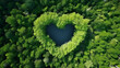 Ariel top down view view of heart shape in the middle of a forest aerial top down view landscape background , nature love illustration concept
