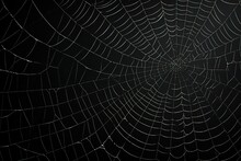 Spider Web On A Black Background.