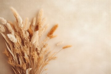 Wall Mural - Top view of a bouquet of dry beige grass plants on a beige backdrop resembling a dried flowers background. Suitable for use as an interior poster with a vintage toned effect.
