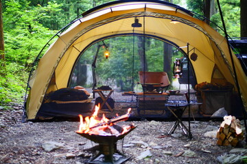 Wall Mural - camping in the forest