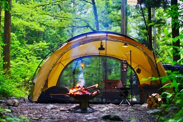 Wall Mural - camping in the forest