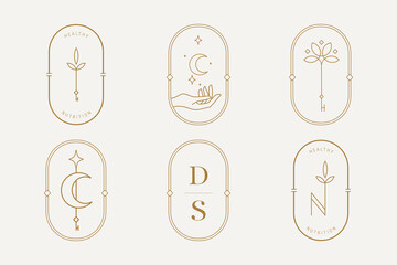 Letter Logo Set Luxury. Art Deco style logotype design for luxury company branding. Premium identity design. Letter D S