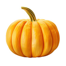 Decorative Pumpkin Isolated On White Background.