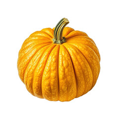 Poster - Decorative pumpkin isolated on white background.