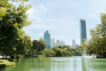 Wall Mural - Lumpini Park green forest lake and buildings in Bangkok, Thailand