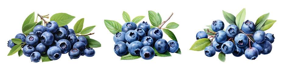 Wall Mural - Blueberries set. Generative Ai