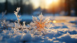 canvas print picture - detail of a Snowflake in front of a winter landscape with snow bokeh sparkling