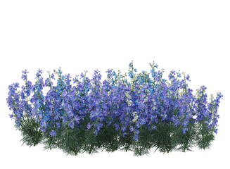 Sticker - Various types of purple flowers bushes shrub isolated	