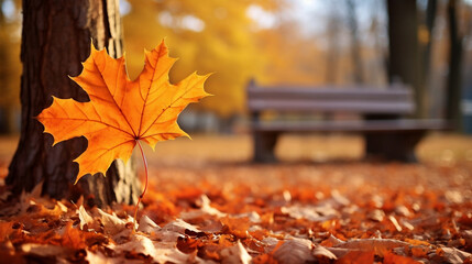 Wall Mural - Autumn park with bench and maple leaves new high -quality, universal colorful technologies, illustration design, generative artificial intelligence