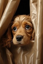 An Inquisitive Cocker Spaniel Puppy In 3D Illustration, Peeking From Behind A Curtain Ai Generate