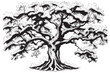Old sketch oak tree hand drawn in vintage sketch style. Pedigree template design. isolated on white background.