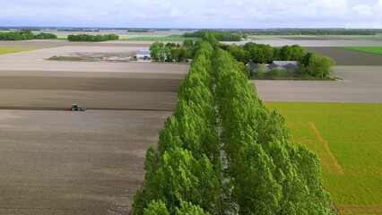 Wall Mural - Aerial view of row of trees by the road in the middle of Farmlands, in Netherlands countryside.