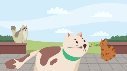 Sticker - three cats mascots characters animation