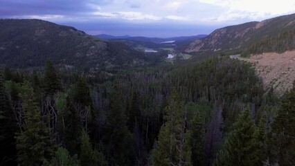 Wall Mural - Aerial Flying Through Mountain Trees Opening up to Valley of Pine Trees, Soaring Over Beautiful Colorado Landscape, Green Sea of Trees in Colorado Aerial