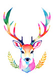 Fototapeta  - deer with a horns