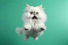 Happy Persian Cat In Jumping, In Flight On Mint Green Color Background. Generative AI