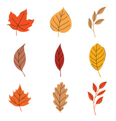 Wall Mural - Autumn leaves set isolated on white background.