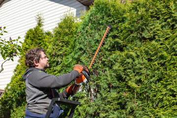 Sticker - Male gardener in uniform using electric hedge cutter for work outdoors. Man shaping overgrown thuja during summer time. Standing on the ladder. Close-up.