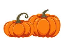 Two Autumn Orange Pumpkins In Cartoon Style. Design Element For Halloween, Thanksgiving, Harvest Festival. Diet Vegetable. Vector Illustration.