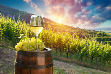 Wall Mural - Three glasses with white, rose and red wine on a wooden barrel in the vineyard. Wide photo. High quality photo