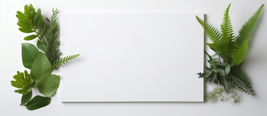 Aufkleber - Photo of a plant on a blank sheet of paper, perfect for adding your own text or design with copy space