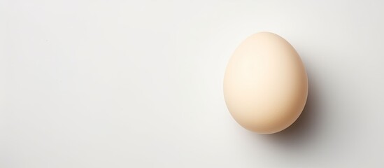 Poster - Photo of a white egg on a clean background with plenty of space for text or other design elements with copy space