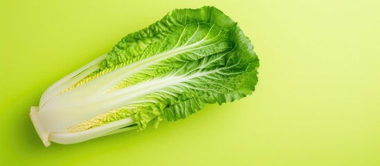 Wall Mural - Photo of a vibrant green leafy vegetable on a bright yellow background with plenty of copy space with copy space