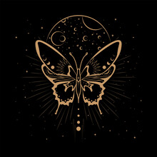 Celestial Magical Animal Butterfly Illustration