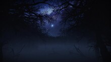 Camera Fly Through Dark Foggy Horror Forest With Space For Text Or Logo, Luma Matte Attached