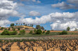 © yaqui_villegas - vineyard during a stormy day during spring in the denomination of origin region of Ribera del Duero in the province of Valladolid in Spain
