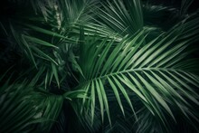 Palm Leaves Tropical Jungle. Generate Ai