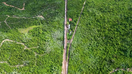 passenger train starting from the train station in the tropical green forest. aerial top down drone 
